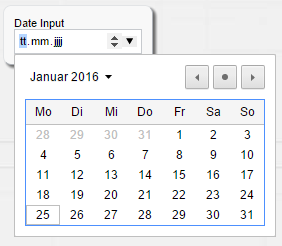 widgets ng dateInput